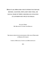 Molecular approaches used to infer evolutionary history, taxonomy, population structure, and illegal trade of White-tailed Black-cockatoos (Calyptorhynchus spp.) in Australia