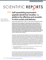 Self-assembling asymmetric peptide-dendrimer micelles – a platform for effective and versatile in vitro nucleic acid delivery