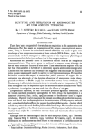 Survival and behaviour of ammocoetes at low oxygen tensions