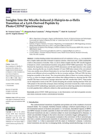 Insights into the micelle-induced β-hairpin-to-α-helix transition of a LytA-derived peptide by photo-CIDNP spectroscopy