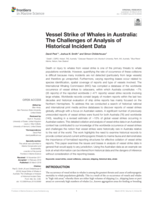 Vessel strike of whales in Australia: The challenges of analysis of historical incident data