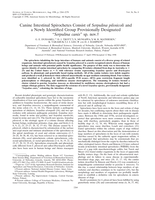 Canine intestinal spirochetes consist of Serpulina pilosicoli and a newly identified group provisionally designated "Serpulina canis" sp. nov.