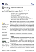 Isolation of live leukocytes from human inflammatory muscles