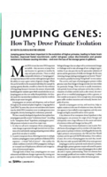 Jumping genes: How they drove primate evolution