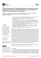 Global transcriptome profiling identified transcription factors, biological process, and associated pathways for pre-harvest aflatoxin contamination in groundnut