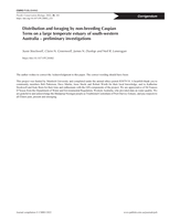 Corrigendum to: Distribution and foraging by non-breeding Caspian Terns on a large temperate estuary of south-western Australia - preliminary investigations