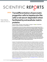 Transdifferentiation of pancreatic progenitor cells to hepatocyte-like cells is not serum-dependent when facilitated by extracellular matrix proteins