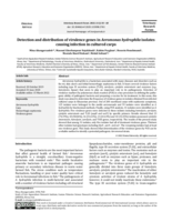 Detection and distribution of virulence genes in Aeromonas hydrophila isolates causing infection in cultured carps