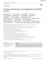 Persistent endotheliopathy in the pathogenesis of long COVID syndrome