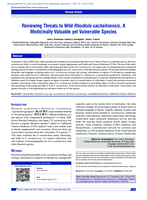 Reviewing threats to wild rhodiola sachalinensis, a medicinally valuable yet vulnerable species