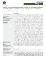 Impact of a prolonged decline in rainfall on eucalypt woodlands in southwestern Australia and its consequences for avifauna