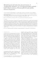 Morphological and molecular characterization of Trypanosoma copemani n. sp. (Trypanosomatidae) isolated from Gilbert's potoroo (Potorous gilbertii) and quokka (Setonix brachyurus)
