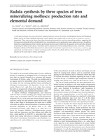 Radula synthesis by three species of iron mineralizing molluscs: production rate and elemental demand