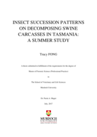 Insect succession patterns on decomposing swine carcasses in Tasmania: A summer study