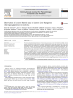 Observation of a novel Babesia spp. in Eastern Grey Kangaroos (Macropus giganteus) in Australia