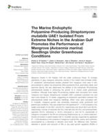 The marine endophytic polyamine-producing streptomyces mutabilis UAE1 isolated from extreme niches in the Arabian Gulf promotes the performance of mangrove (Avicennia marina) seedlings under greenhouse conditions