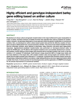 Highly efficient and genotype-independent barley gene-editing based on anther culture
