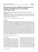 Heat-shocking of murine malignant mesothelioma cells enhances their effectiveness as an autologous anti-tumour vaccine