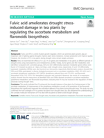 Fulvic acid ameliorates drought stress-induced damage in tea plants by regulating the ascorbate metabolism and flavonoids biosynthesis