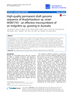 High-quality permanent draft genome sequence of Bradyrhizobium sp. strain WSM1743 - an effective microsymbiont of an Indigofera sp. growing in Australia