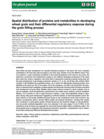 Spatial distribution of proteins and metabolites in developing wheat grain and their differential regulatory response during the grain filling process