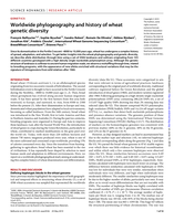 Worldwide phylogeography and history of wheat genetic diversity