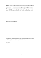 Nitric oxide and central autonomic control of blood pressure: a neuroanatomical study of nitric oxide and cGMP expression in the brain and spinal cord