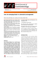 Iron: An emerging factor in colorectal carcinogenesis