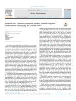 Eyeblink rate, a putative dopamine marker, predicts negative reinforcement learning by tDCS of the dlPFC