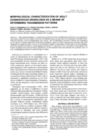 Morphological characterization of adult Echinococcus granulosus as a means of determining transmission patterns