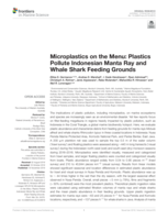 Microplastics on the menu: Plastics pollute Indonesian Manta Ray and Whale Shark feeding grounds