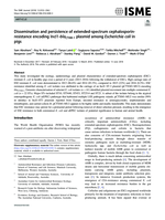 Dissemination and persistence of extended-spectrum cephalosporin-resistance encoding IncI1-blaCTXM-1 plasmid among Escherichia coli in pigs
