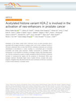 Acetylated histone variant H2A.Z is involved in the activation of neo-enhancers in prostate cancer