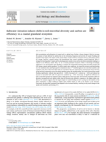 Saltwater intrusion induces shifts in soil microbial diversity and carbon use efficiency in a coastal grassland ecosystem