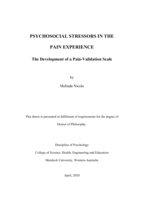 Psychosocial stressors in the pain experience: The development of a pain-validation scale