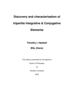 Discovery and characterisation of tripartite Integrative & Conjugative Elements