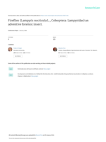 Fireflies (Lampyris nocticula L., Coleoptera: Lampyridae) an adventive forensic insect
