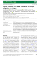 Genetic variation in CaTIFY4b contributes to drought adaptation in chickpea