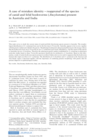 A case of mistaken identity – reappraisal of the species of canid and felid hookworms (Ancylostoma) present in Australia and India