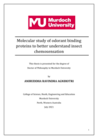 Molecular study of odorant binding proteins to better understand insect chemosensation