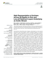 High representation of archaea across all depths in oxic and low-pH sediment layers underlying an acidic stream