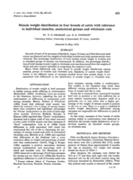 Muscle weight distribution in four breeds of cattle with reference to individual muscles, anatomical groups and wholesale cuts
