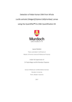 Detection of Male Human DNA from Whole Lucilia sericata (Meigen) (Diptera:Calliphoridae) Larvae using the Quantifiler®Trio DNA Quantification Kit