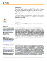 Functional improvement of dystrophic muscle by repression of utrophin: let-7c interaction