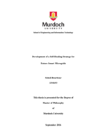 Development of a Self-Healing strategy for future smart microgrids
