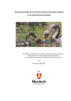 Temporal and spatial use of resources by black swans (Cygnus atratus) on the Vasse-Wonnerup wetlands