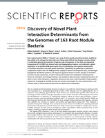 Discovery of novel plant interaction determinants from the genomes of 163 root nodule bacteria