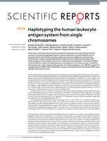 Haplotyping the human leukocyte antigen system from single chromosomes