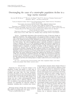 Disentangling the cause of a catastrophic population decline in a large marine mammal