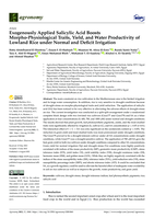 Exogenously applied salicylic acid boosts Morpho-Physiological traits, yield, and water productivity of lowland rice under normal and deficit irrigation
